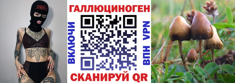 Псилоцибиновые грибы GOLDEN TEACHER  Красноуфимск 